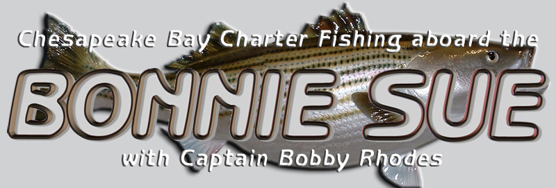 Chesapeake Bay Charter Fishing aboard the Bonnie Sue with Captain Bobby Rhodes
